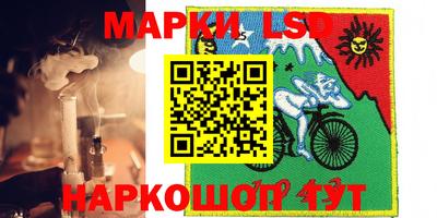 spice Кимры