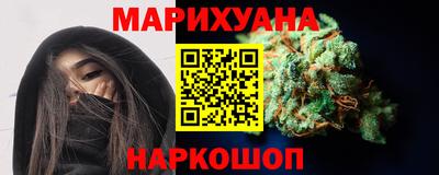 стафф Кингисепп