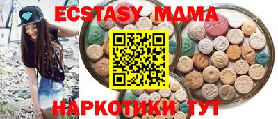стафф Кингисепп