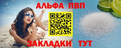 стафф Кингисепп