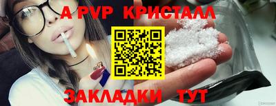 стафф Кингисепп