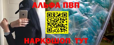 стафф Кингисепп