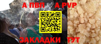 стафф Кингисепп
