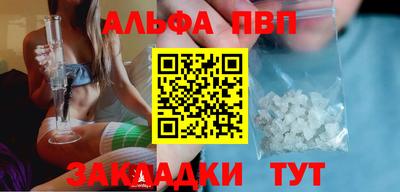 стафф Кингисепп