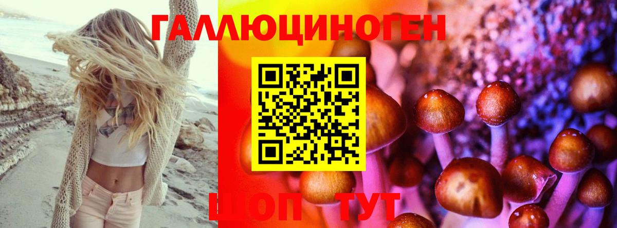 Псилоцибиновые грибы MAGIC MUSHROOMS  что такое   Красногорск  Вход с VPN 
